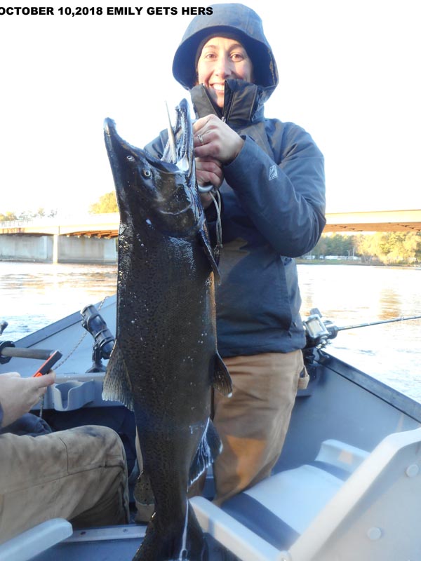 Salmon River NY Fishing Charters & Guides Steelhead & Brown Trout